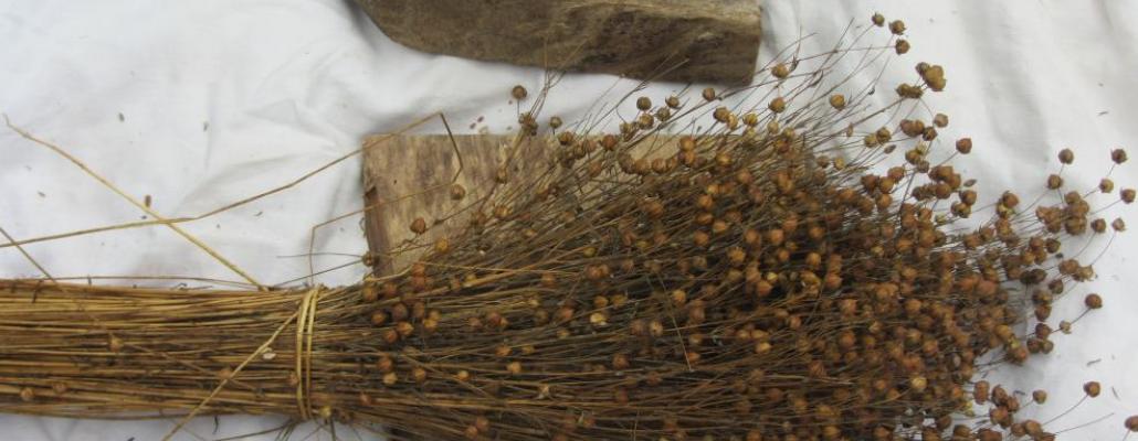 Did you know Linen is made from a plant?